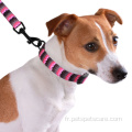 Collier de chien réglable sur mesure avec boucle